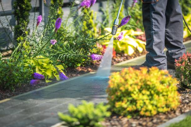 Best Spring Cleaning  in Stone Mountain, GA